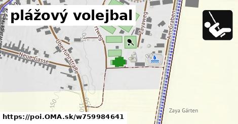 plážový volejbal