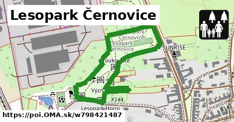 Lesopark Černovice