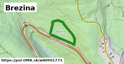 Brezina