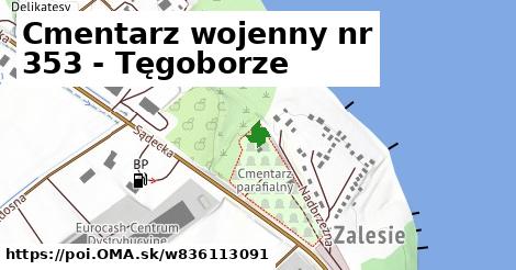 Cmentarz wojenny nr 353 - Tęgoborze