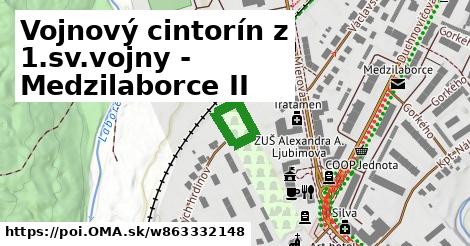 Vojnový cintorín z 1.sv.vojny - Medzilaborce II