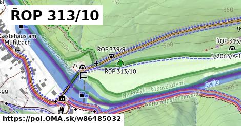 ŘOP 313/10