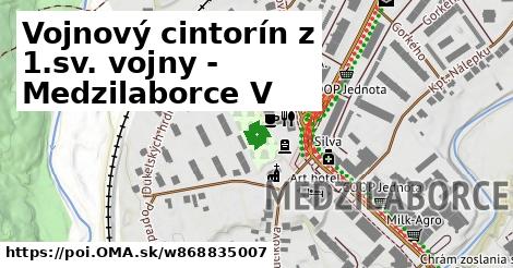 Vojnový cintorín z 1.sv. vojny - Medzilaborce V