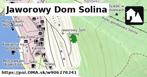 Jaworowy Dom Solina