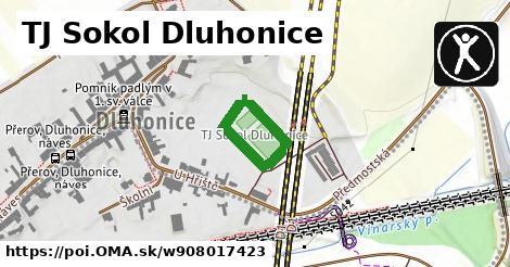 TJ Sokol Dluhonice