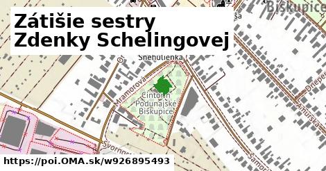 Zátišie sestry Zdenky Schelingovej