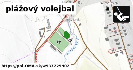 plážový volejbal