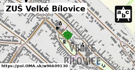 ZUŠ Velké Bílovice