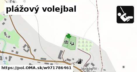 plážový volejbal