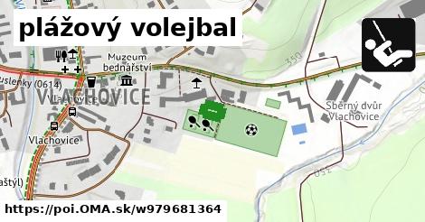 plážový volejbal