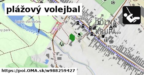 plážový volejbal