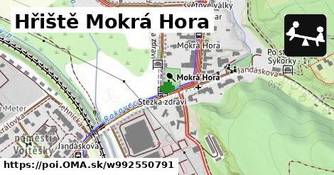 Hřiště Mokrá Hora