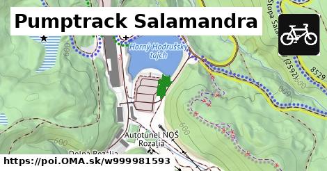 Pumptrack Salamandra