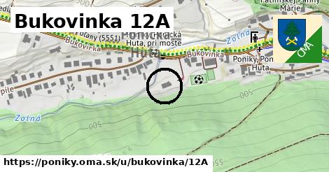 Bukovinka 12A, Poniky