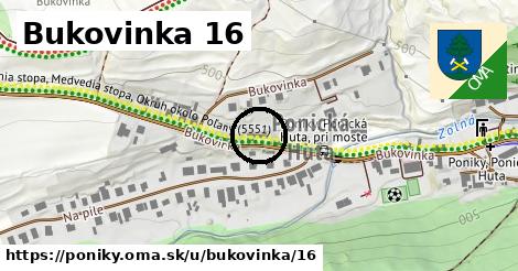 Bukovinka 16, Poniky