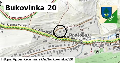 Bukovinka 20, Poniky