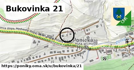 Bukovinka 21, Poniky