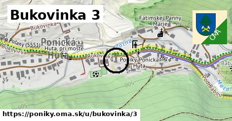 Bukovinka 3, Poniky
