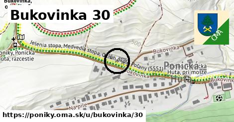 Bukovinka 30, Poniky