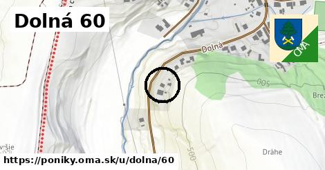 Dolná 60, Poniky
