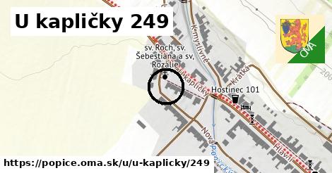 U kapličky 249, Popice