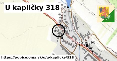 U kapličky 318, Popice