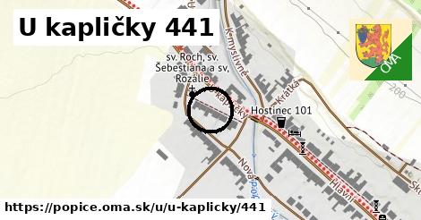 U kapličky 441, Popice