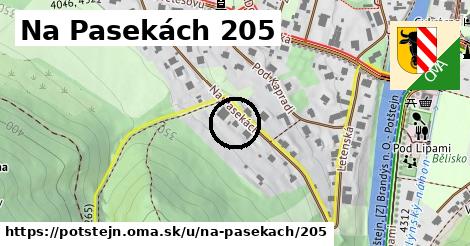 Na Pasekách 205, Potštejn