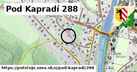 Pod Kapradí 288, Potštejn
