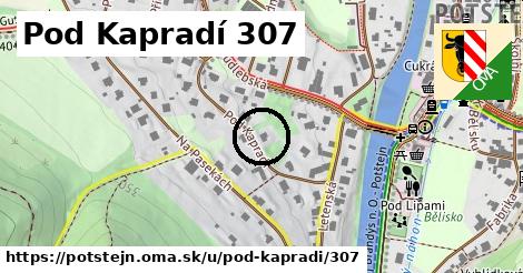 Pod Kapradí 307, Potštejn