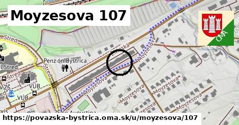 Moyzesova 107, Považská Bystrica