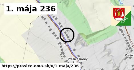 1. mája 236, Prašice