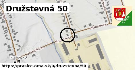 Družstevná 50, Prašice