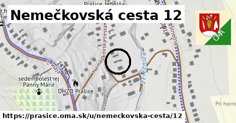 Nemečkovská cesta 12, Prašice