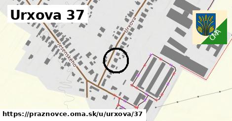 Urxova 37, Práznovce
