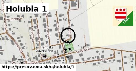 Holubia 1, Prešov