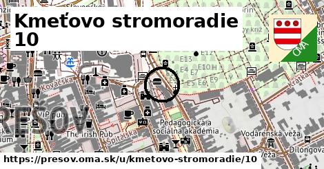 Kmeťovo stromoradie 10, Prešov