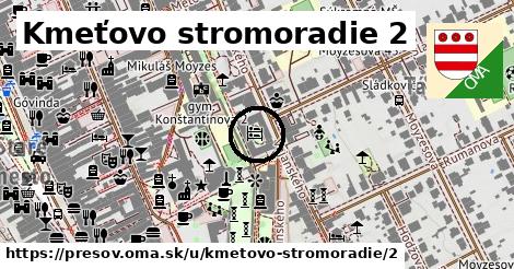 Kmeťovo stromoradie 2, Prešov