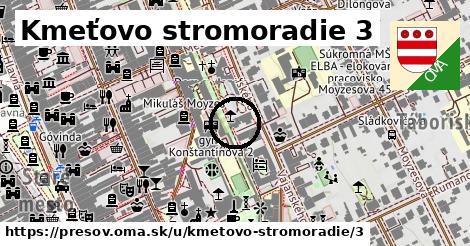 Kmeťovo stromoradie 3, Prešov