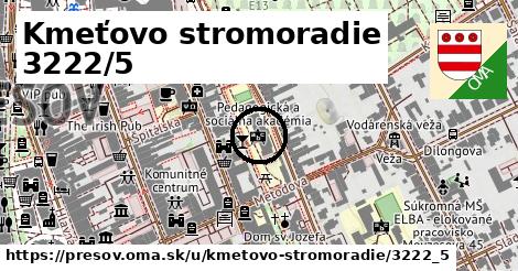 Kmeťovo stromoradie 3222/5, Prešov