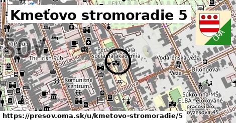 Kmeťovo stromoradie 5, Prešov