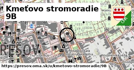 Kmeťovo stromoradie 9B, Prešov