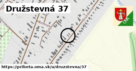 Družstevná 37, Pribeta