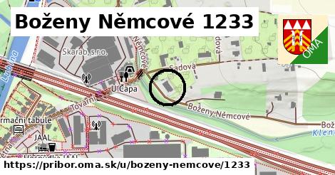 Boženy Němcové 1233, Příbor