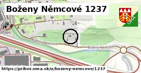 Boženy Němcové 1237, Příbor