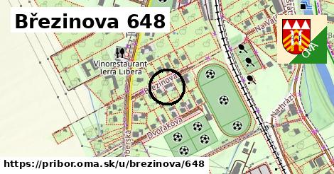 Březinova 648, Příbor