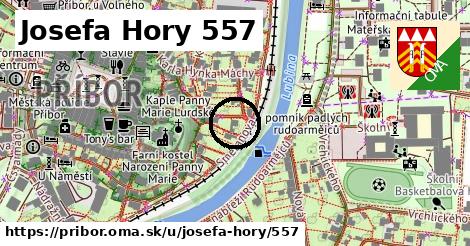 Josefa Hory 557, Příbor