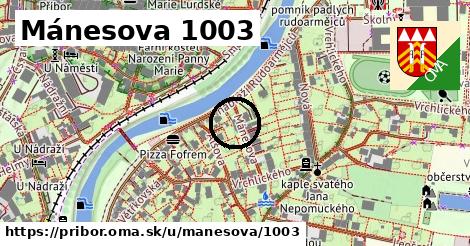 Mánesova 1003, Příbor