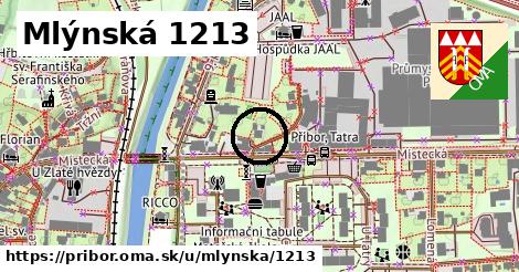 Mlýnská 1213, Příbor