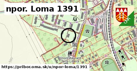 npor. Loma 1391, Příbor